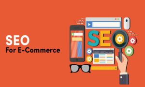 “SEO for B2C E-commerce in the USA”
